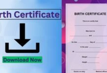 Accessing Birth Certificates Made Easy: The Power of Andhra Pradesh and Telangana Apps in 2025 Accessing Birth Certificates Made Easy