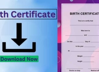 Accessing Birth Certificates Made Easy: The Power of Andhra Pradesh and Telangana Apps in 2025 Accessing Birth Certificates Made Easy