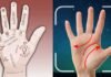 Palmistry Reimagined: Exploring the Digital Transformation Through App Palmistry Reimagined