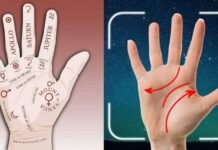 Palmistry Reimagined: Exploring the Digital Transformation Through App Palmistry Reimagined