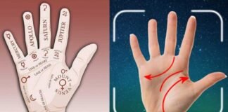 Palmistry Reimagined: Exploring the Digital Transformation Through App Palmistry Reimagined