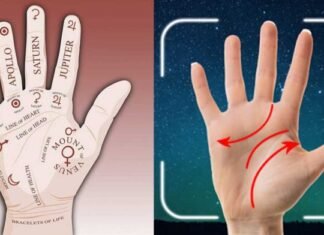 Palmistry Reimagined: Exploring the Digital Transformation Through App Palmistry Reimagined