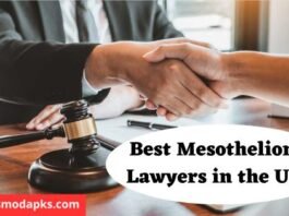 Best Mesothelioma Lawyers in the USA: Advocates for Asbestos Victims in 2025 Best Mesothelioma Lawyers in the USA